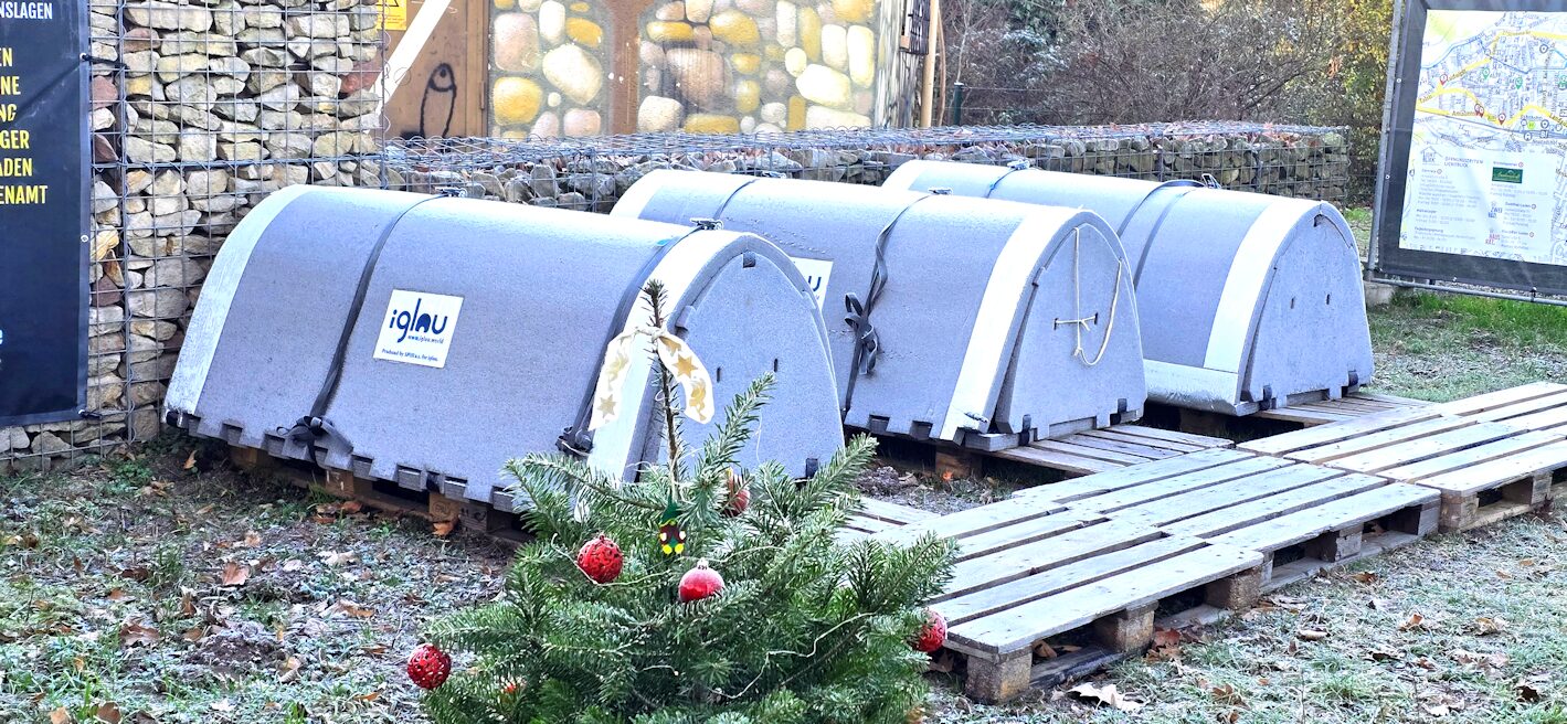 Neustadter AfD kritisiert Kälte-Iglus: Stadt kennt weder Nutzerzahlen noch Sicherheitsstandards 1 Neustadter AfD kritisiert Kälte-Iglus: Stadt kennt weder Nutzerzahlen noch Sicherheitsstandards